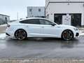 Audi S5 Quattro Sportback *B&O*20-Zoll*360grad*Pano.* Weiß - thumbnail 6