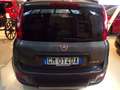 Fiat Panda Hybrid 1.0 firefly City Life 70cv Grigio - thumbnail 5