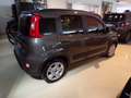 Fiat Panda Hybrid 1.0 firefly City Life 70cv Grigio - thumbnail 4