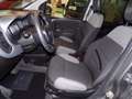 Fiat Panda Hybrid 1.0 firefly City Life 70cv Grigio - thumbnail 12