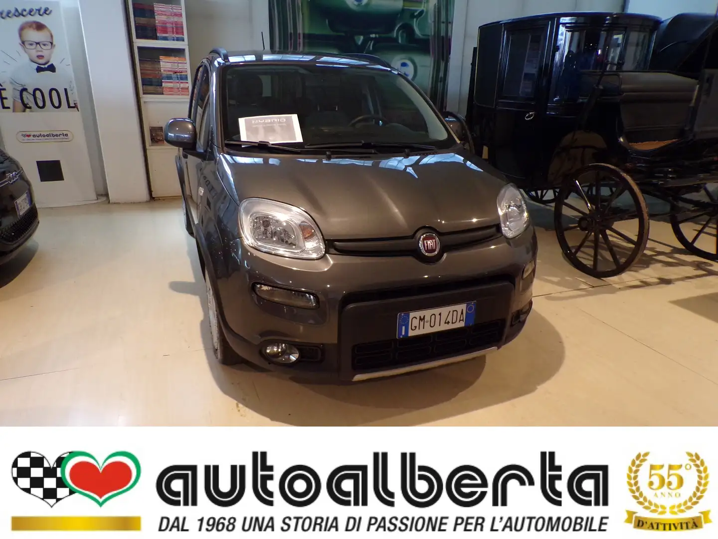 Fiat Panda Hybrid 1.0 firefly City Life 70cv Grigio - 2