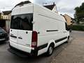 Hyundai H 350 Kasten Kasten L3H2 Profi Weiß - thumbnail 5
