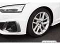 Audi S5 TDI tiptr. Virtual+/HuD/Navi+/Kamer Weiß - thumbnail 8