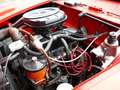 Fiat 1200 granluce Trasformabile Cabriolet 1962 Rojo - thumbnail 16