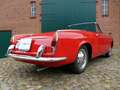 Fiat 1200 granluce Trasformabile Cabriolet 1962 Roşu - thumbnail 10