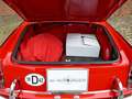Fiat 1200 granluce Trasformabile Cabriolet 1962 Roşu - thumbnail 12