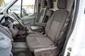 Ford Transit 2.2TDCi L3, GARANTIE, MwSt, SITZHZG, AHK Weiß - thumbnail 19