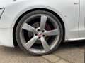 Audi A5 3.0 V6 TDI 245CH CLEAN DIESEL S LINE QUATTRO S TRO Fehér - thumbnail 7