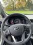 Kia Rio Export - thumbnail 6