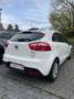 Kia Rio Export - thumbnail 3
