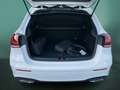 Mercedes-Benz A 250 A 250 e AMG+NIGHT+KAMERA+AMBI+SITZHZ+SPUR/BREMS Weiß - thumbnail 14