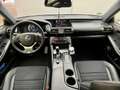 Lexus IS 300 300h F Sport Білий - thumbnail 10