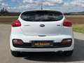 Kia ProCeed / pro_cee'd pro cee'd 1,4 CRDi Titan Last Edition * Neues  ... Weiß - thumbnail 7