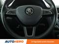 Skoda Rapid/Spaceback 1.0 TSI Clever*XENON*NAVI*TEMPO*PDC*SHZ*KLIMA* Grau - thumbnail 19
