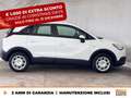 Opel Crossland X 1.5 ecotec advance s&s 120cv auto Alb - thumbnail 5