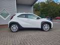 Toyota Aygo X Business Edition ACC/APP/KAM/SHZ 53 kW (72 PS),... Weiß - thumbnail 3