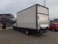 Iveco Daily Iveco Daily 35C16 Weiß - thumbnail 2