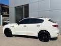 Maserati Levante 3.0 V6 auto iva esposta Blanc - thumbnail 3