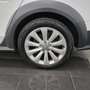 Audi A4 allroad A4 allroad 2.0 TDI 190 CV cl.d. Advanced Bianco - thumbnail 8