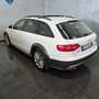 Audi A4 allroad A4 allroad 2.0 TDI 190 CV cl.d. Advanced Bianco - thumbnail 7