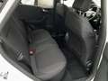 Ford Puma 1.0 EcoBoost MHEV Titanium 125 Blanc - thumbnail 12