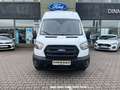 Ford Transit 350 L3 H3 Kasten LKW Trend 96 KW Blanc - thumbnail 3