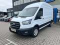 Ford Transit 350 L3 H3 Kasten LKW Trend 96 KW Blanc - thumbnail 2