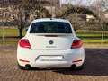 Volkswagen Maggiolino 2.0 Tsi Sport -- Dsg -- Unica Proprietaria Blanc - thumbnail 3