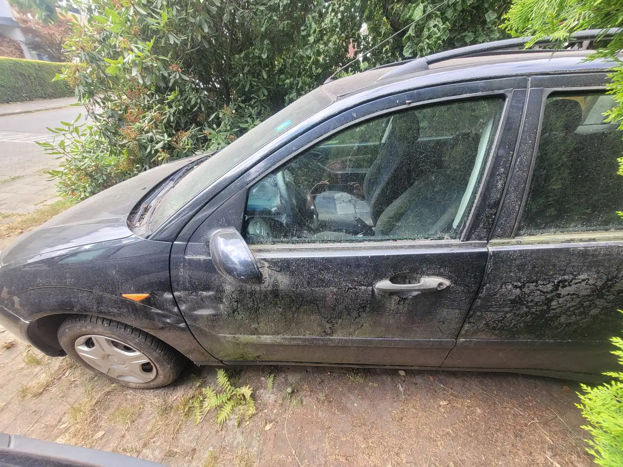 Ford Focus 1.6-16V Collection, foto 2