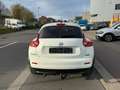 Nissan Juke Juke 1.5 dCi 2WD Acenta Pro DPF (Fleet) - thumbnail 12