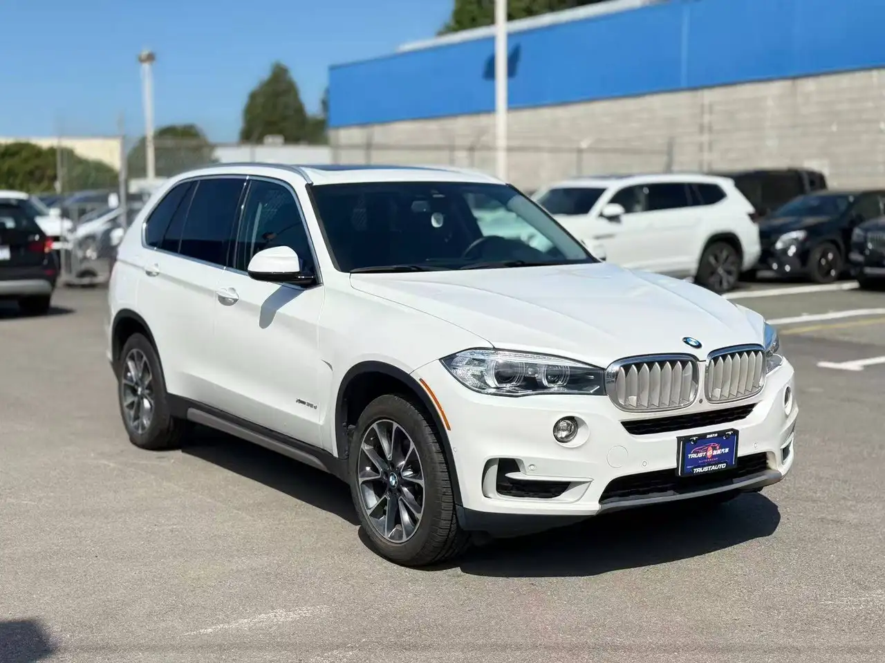 BMW X5 photo BMW X5
