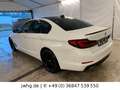 BMW 520 LED Navi 17" HeadUp Glasdach Kamera SitzHz Bianco - thumbnail 7