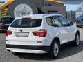 BMW X3 xDrive 20d - Bi-Xenon - Navi - Parksensoren - All Weiß - thumbnail 4