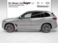 BMW X5 xDrive40d M Sportpaket Gestiksteuerung DAB Grau - thumbnail 3