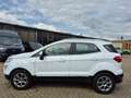 Ford EcoSport Titanium 1.0 EB EU6d-T Automatik Navi Winterräder Fehér - thumbnail 7