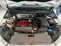 Audi RS Q3 2.5 tfsi quattro s-tronic - FL831MW Bianco - thumbnail 8