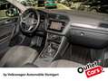 Volkswagen Tiguan Elegance 2.0 TDI DSG Navi AHK Kamera ACC Weiß - thumbnail 5