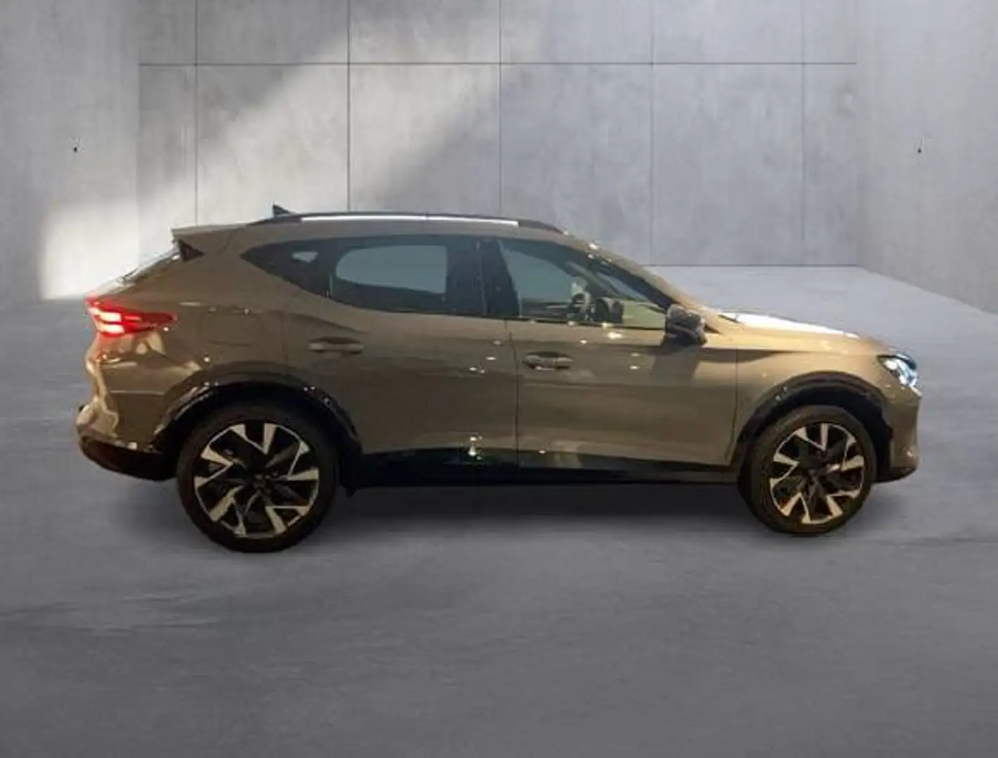 CUPRA Formentor Formentor 2,0 TSI 4Drive Cupra DSG Cupra Grau - 2