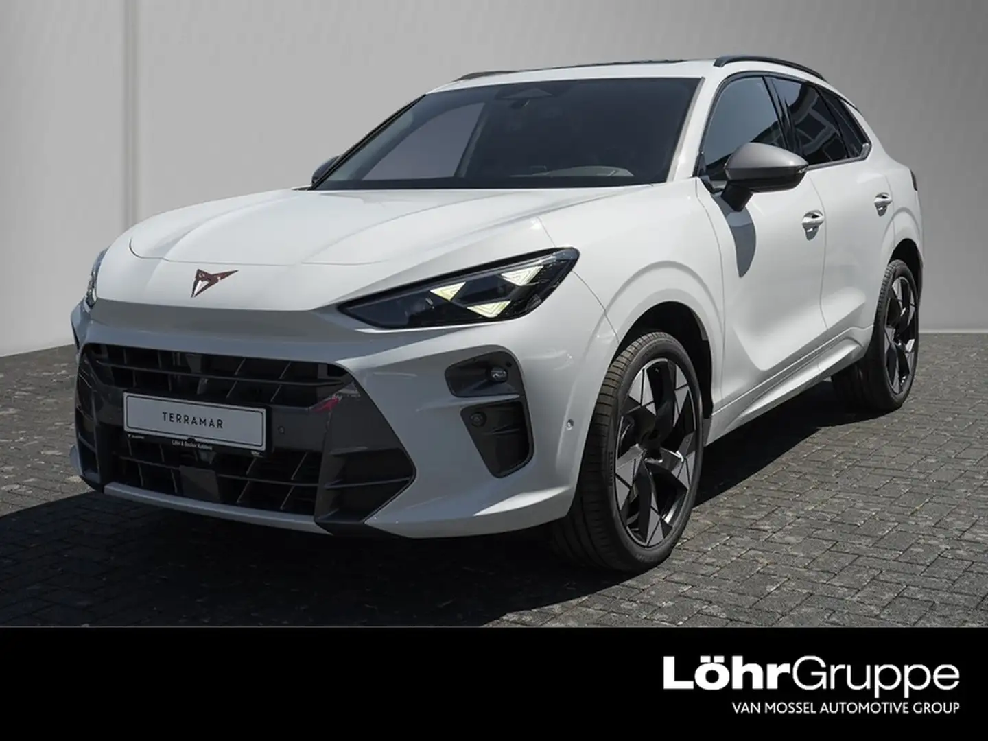 CUPRA Terramar 2.0 TSI 150kW/204PS 7-Gang-DSG 4Drive Blanc - 1