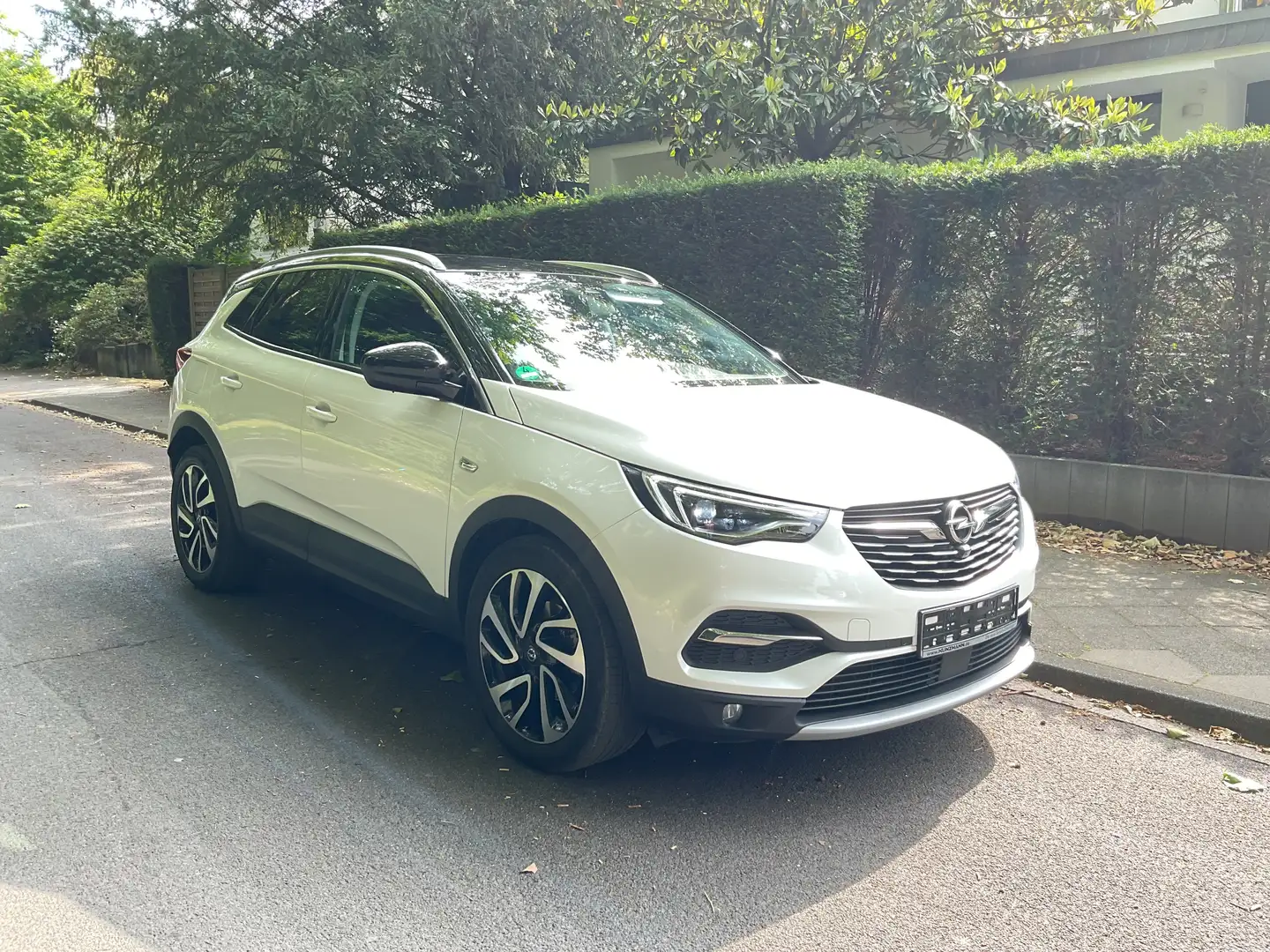 Opel Grandland X Grandland (X) Ultimate 19 Zoll Scheckheft 1 HD - 1