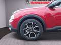 Citroen E-C4 Electric e-C4 X FEEL PACK Rot - thumbnail 19