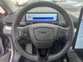 Ford Mustang Mach-E 75kWh RWD | Technology pack plus | Pamoramadak | Grijs - thumbnail 18