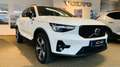 Volvo XC40 B3 Aut. Plus Dark Pano RCam BLIS ACC Pilot Weiß - thumbnail 5