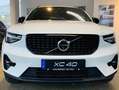 Volvo XC40 B3 Aut. Plus Dark Pano RCam BLIS ACC Pilot Weiß - thumbnail 7