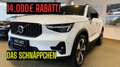 Volvo XC40 B3 Aut. Plus Dark Pano RCam BLIS ACC Pilot Weiß - thumbnail 1