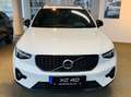 Volvo XC40 B3 Aut. Plus Dark Pano RCam BLIS ACC Pilot Weiß - thumbnail 8