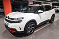 Citroen C5 Aircross 1.6 Turbo 180cv Shine Weiß - thumbnail 3