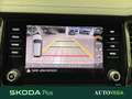Skoda Kodiaq 2.0 tdi evo style dsg 7p.ti Grau - thumbnail 13