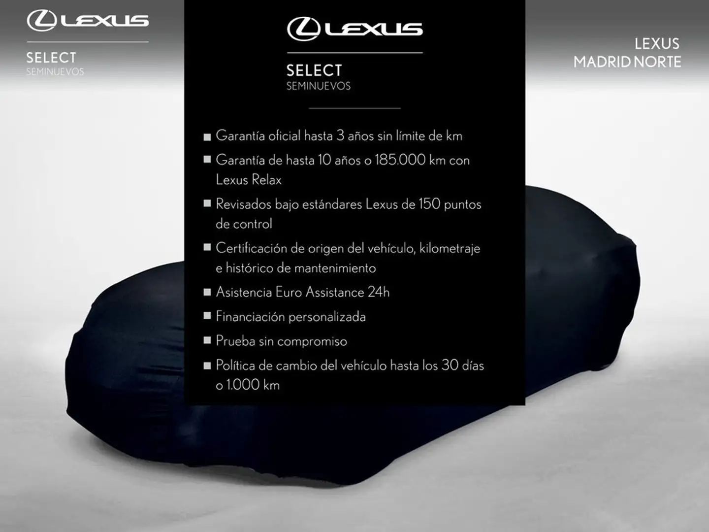 Lexus UX 300h Relax 2WD Gris - 2