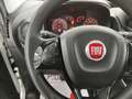 Fiat Fiorino 1.3 MJT 95CV Cargo SX CarPlay/Android Port. 495 Kg Blanc - thumbnail 14